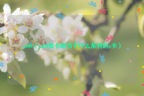 p600（p600显卡相当于什么系列的n卡）
