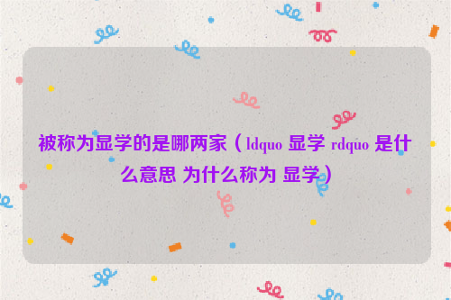 被称为显学的是哪两家（ldquo 显学 rdquo 是什么意思 为什么称为 显学）