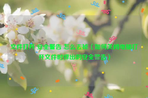 文件打开 安全警告 怎么去掉（如何关闭电脑打开文件时弹出的安全警告）
