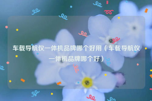 车载导航仪一体机品牌哪个好用（车载导航仪一体机品牌哪个好）