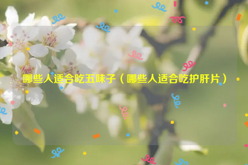 哪些人适合吃五味子（哪些人适合吃护肝片）