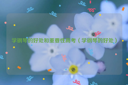 学钢琴的好处和重要性高考（学钢琴的好处）