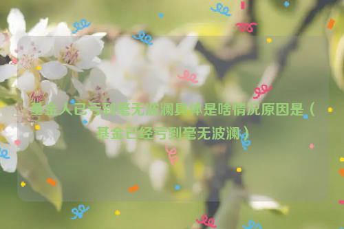 基金人已亏到毫无波澜具体是啥情况原因是（基金已经亏到毫无波澜）