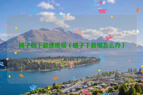 橘子的下载速度慢（橘子下载慢怎么办）