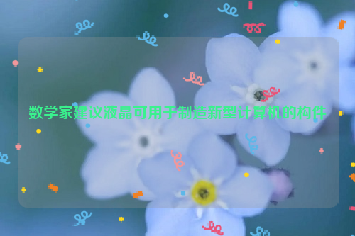 数学家建议液晶可用于制造新型计算机的构件