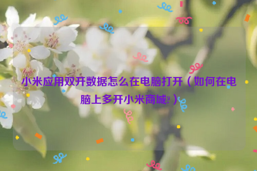小米应用双开数据怎么在电脑打开（如何在电脑上多开小米商城?）