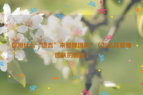 你用什么“语言”来管理团队？（怎么样管理团队的语言）