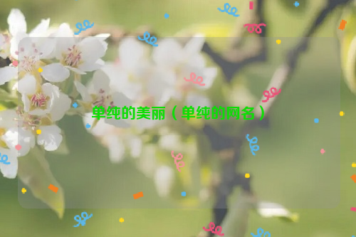 单纯的美丽（单纯的网名）
