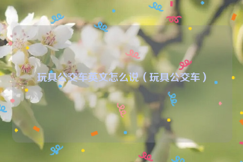 玩具公交车英文怎么说（玩具公交车）