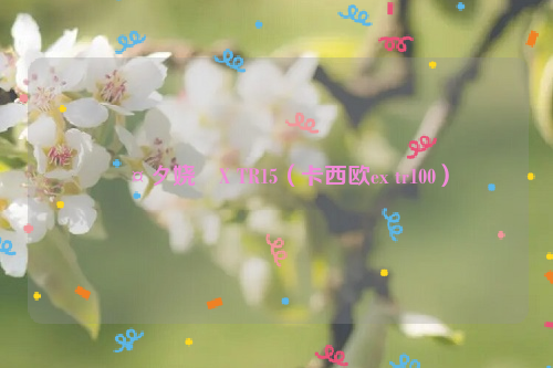 鍗¤タ娆X TR15（卡西欧ex tr100）