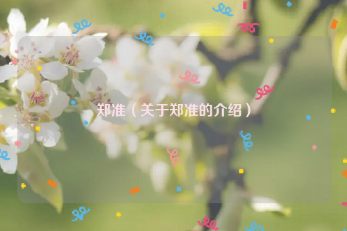郑准（关于郑准的介绍）