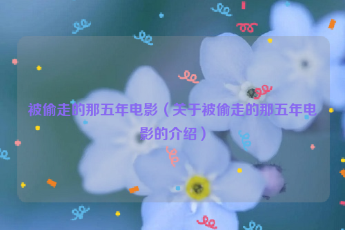 被偷走的那五年电影（关于被偷走的那五年电影的介绍）
