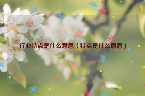 行业特点是什么意思（特点是什么意思）