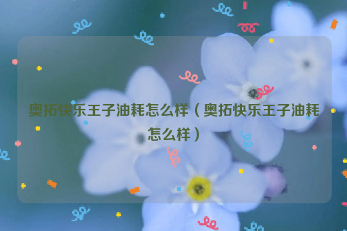 奥拓快乐王子油耗怎么样（奥拓快乐王子油耗怎么样）