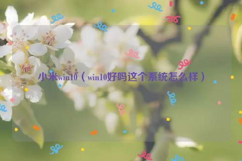 小米win10（win10好吗这个系统怎么样）