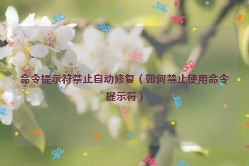 命令提示符禁止自动修复（如何禁止使用命令提示符）