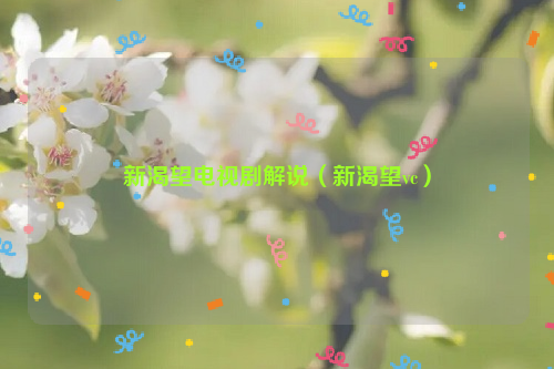新渴望电视剧解说（新渴望vc）