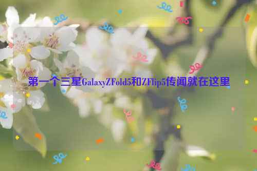 第一个三星GalaxyZFold5和ZFlip5传闻就在这里