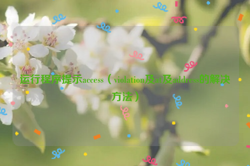 运行程序提示access（violation及at及address的解决方法）