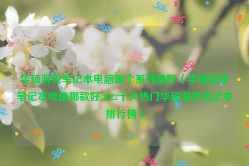 华硕游戏笔记本电脑哪个系列最好（华硕游戏笔记本电脑哪款好,2022十大热门华硕游戏笔记本排行榜）