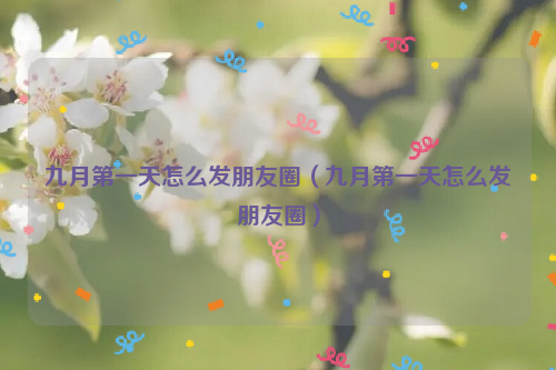 九月第一天怎么发朋友圈（九月第一天怎么发朋友圈）