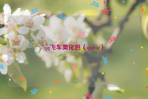 qq飞车美化包（qqfeic）