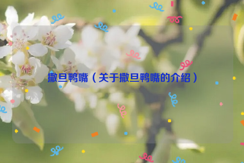 撒旦鸭嘴（关于撒旦鸭嘴的介绍）