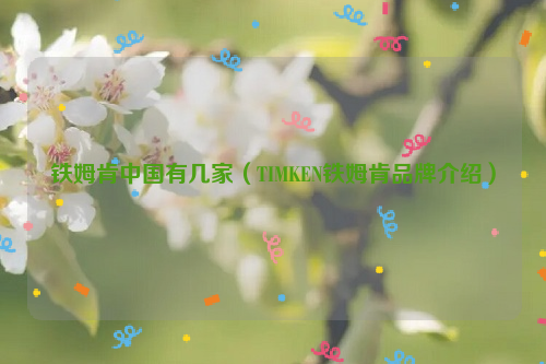 铁姆肯中国有几家（TIMKEN铁姆肯品牌介绍）