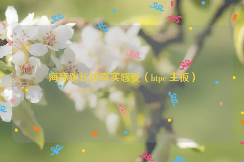 海豚跑长途真实感受（htpc 主板）
