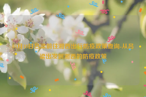 04月18日吕梁前往湘西出行防疫政策查询-从吕梁出发到湘西的防疫政策