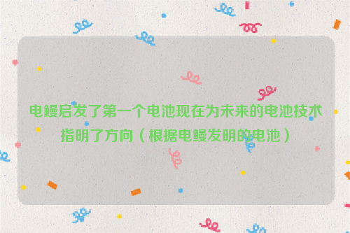 电鳗启发了第一个电池现在为未来的电池技术指明了方向（根据电鳗发明的电池）