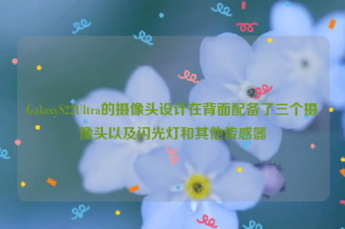 GalaxyS22Ultra的摄像头设计在背面配备了三个摄像头以及闪光灯和其他传感器
