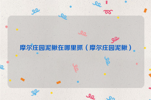 摩尔庄园泥鳅在哪里抓（摩尔庄园泥鳅）