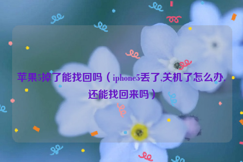 苹果5掉了能找回吗（iphone5丢了,关机了怎么办,还能找回来吗）