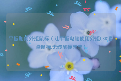 平板如何外接鼠标（让平板电脑使用外接USB键盘鼠标.无线鼠标等等）