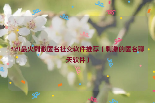 2021最火刺激匿名社交软件推荐（刺激的匿名聊天软件）
