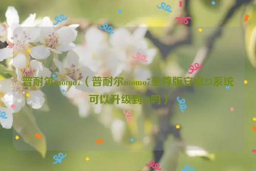 普耐尔momo7（普耐尔momo7至尊版安卓23系统可以升级到40吗）