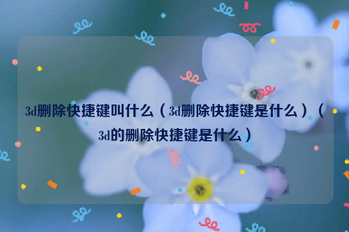 3d删除快捷键叫什么（3d删除快捷键是什么）（3d的删除快捷键是什么）