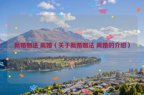 新婚姻法 离婚（关于新婚姻法 离婚的介绍）