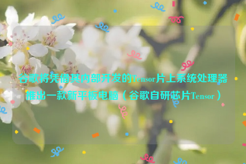 谷歌将凭借其内部开发的Tensor片上系统处理器推出一款新平板电脑（谷歌自研芯片Tensor）