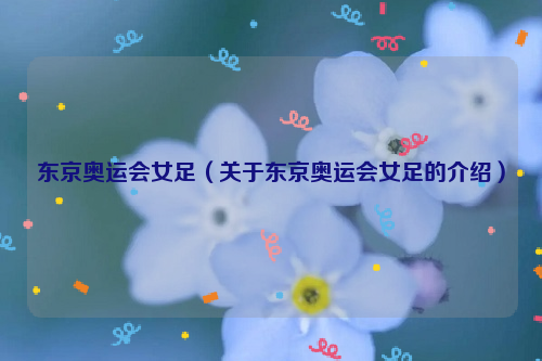 东京奥运会女足（关于东京奥运会女足的介绍）