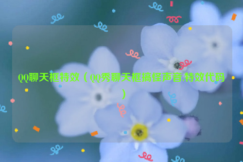 QQ聊天框特效（QQ秀聊天框搞怪声音.特效代码）