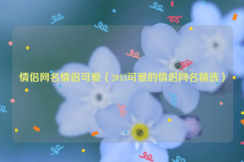 情侣网名情侣可爱（2013可爱的情侣网名精选）
