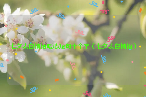 七夕表白情话暖心短句十个字（七夕表白情语）