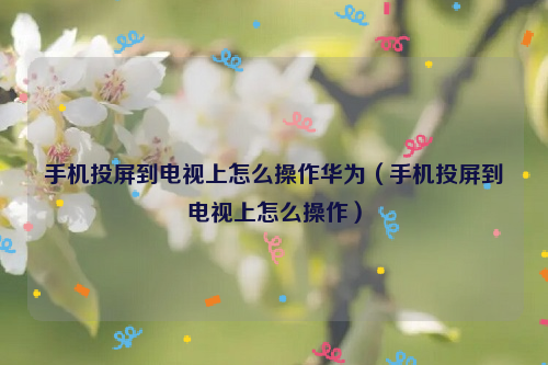 手机投屏到电视上怎么操作华为（手机投屏到电视上怎么操作）