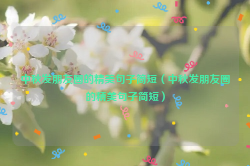 中秋发朋友圈的精美句子简短（中秋发朋友圈的精美句子简短）