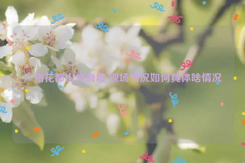 广州花都山体滑坡 现场情况如何具体啥情况
