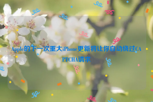 Apple的下一次重大iPhone更新将让你自动绕过CAPTCHA请求
