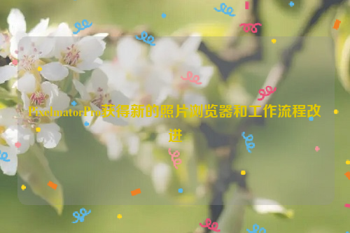 PixelmatorPro获得新的照片浏览器和工作流程改进