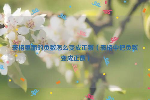 表格里面的负数怎么变成正数（表格中把负数变成正数）